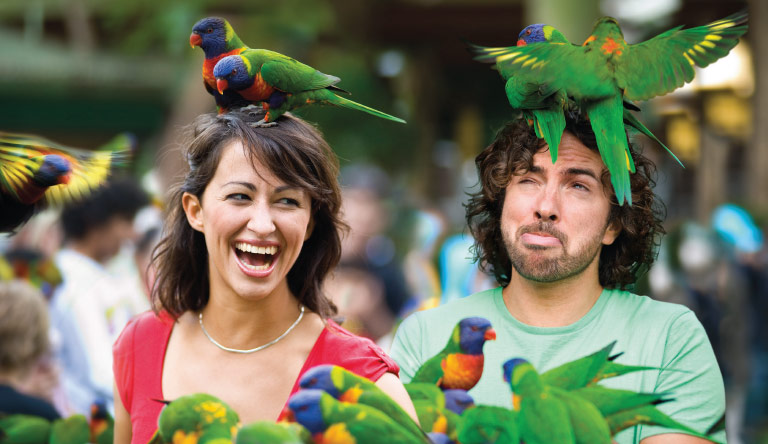 Currumbin-Wildlife-Sanctuary-Gold-Coast-Australia